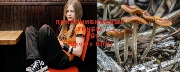 трава Наволоки