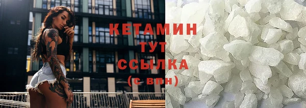 трава Наволоки