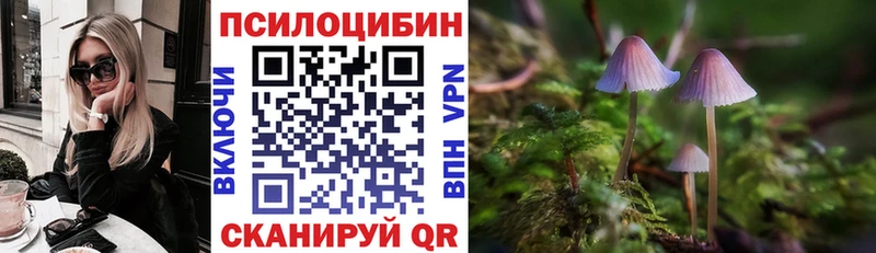 Галлюциногенные грибы Cubensis  blacksprut как зайти  Неман 